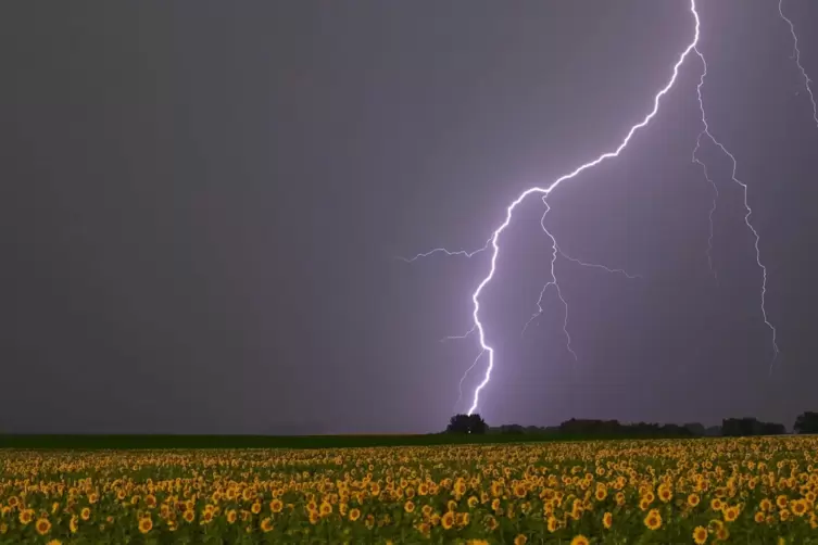 Extrem starke Unwetter auch in der Pfalz waren für den Samstagabend vorhergesagt worden. 