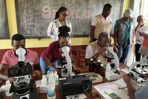 Schulung im Diagnostiklabor auf Madagaskar: Mit Mikroskopen werden Proben ausgewertet. Der Homburger Arzt Sören Becker vermittel