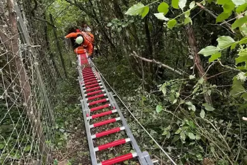 „Rutschbahn“ für die Trage: Aneinandergereihte Leitern erlaubten es, den verunglückten Mann relativ sanft nach oben zu ziehen. 