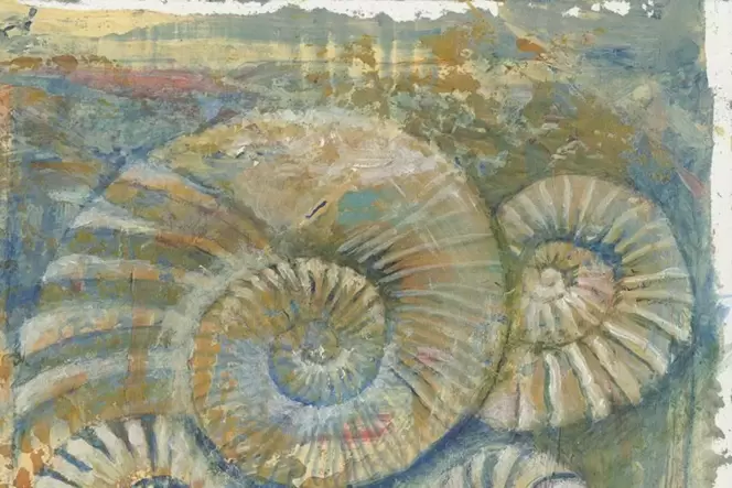 Ammoniten von Dagmar Grieve.