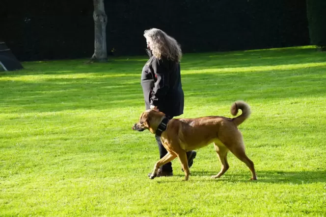 Beim Training: Hundeführerin Gabi Kühner mit Kangal-Mix-Hündin Cleo.