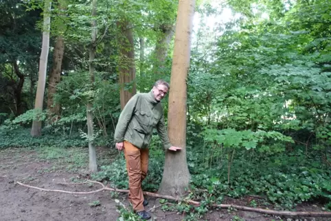 „Bis hier stand das Wasser“, zeigt Elmar Schniedermeier, Abteilungsleiter für Grünflächen und Friedhöfe , die Höhe des Hochwasse