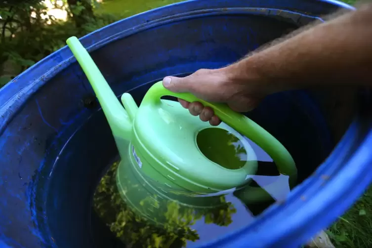 Regenwasser sammeln schon jetzt viele Gartenbesitzer. Der sparsame Umgang mit Wasser wird aber immer wichtiger. 