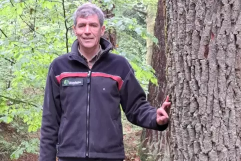 Joachim Leßmeister leitet das Forstrevier Glan mit 1750 Hektar Staatswald.