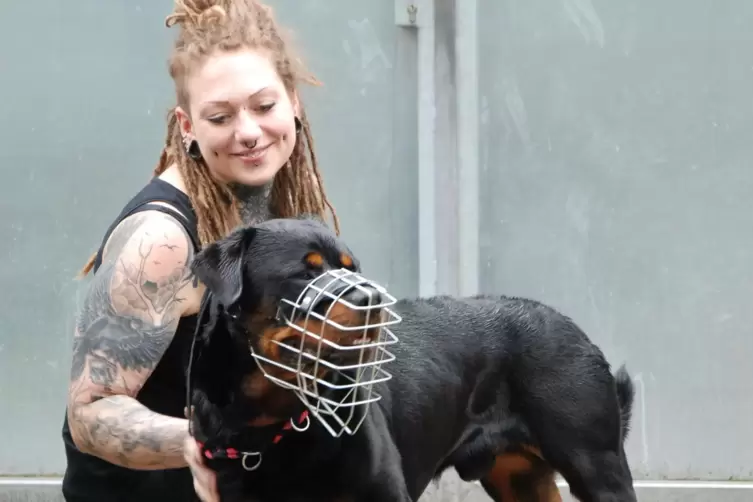 Rübe ist einer der schweren Fälle. Der Hund wird das Tierheim wohl nie verlassen, sagt Leiterin Rebecca Müller.