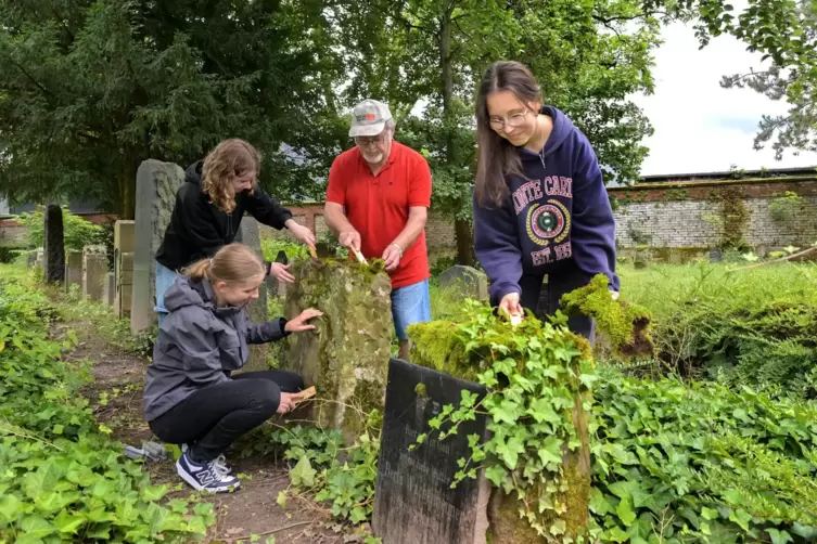 Schülerinnen der Edith-Stein Schule putzen auf dem jüdischen Friedhof unter Anleitung von Eberhard Dittus die mit Efeu und Moos 