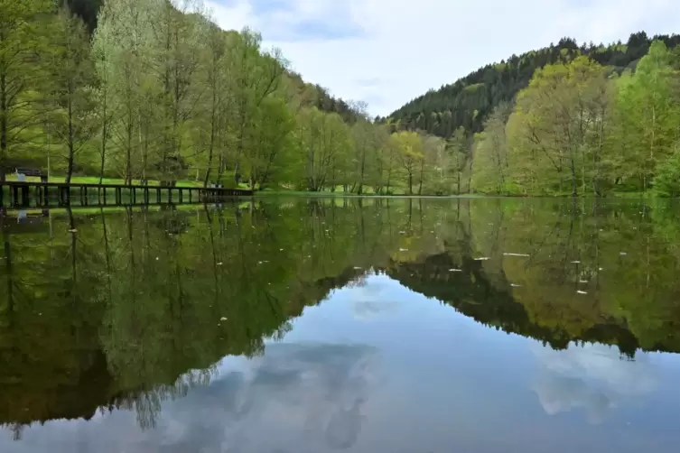 Der Helmbachweiher bei Elmstein. 