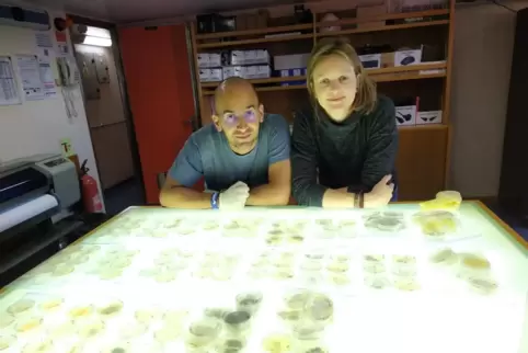 Im Labor züchten Federico Baltar und Eva Breyer von der Uni Wien die in Wasserproben gefundenen Mikroorganismen an und untersuch