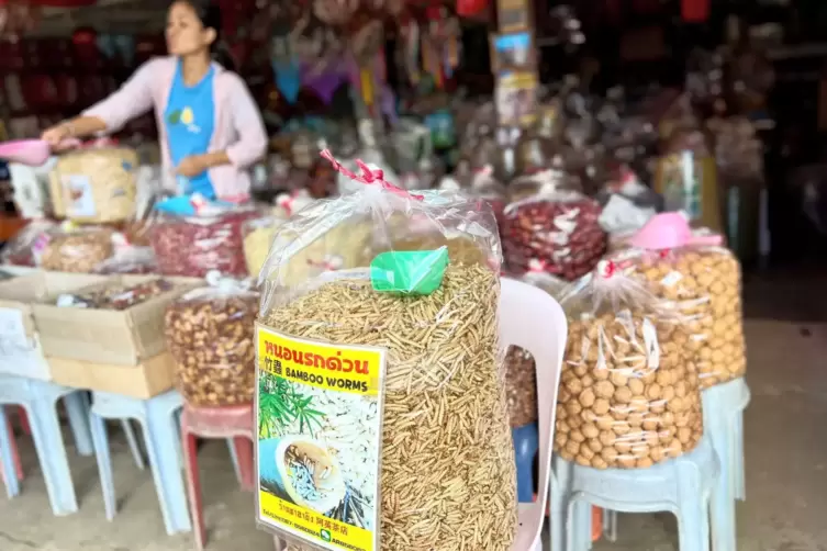 Insekten als Nahrungsmittel in Thailand