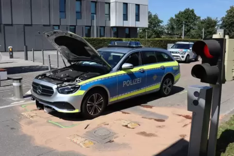 Das Polizeiauto blieb auf den Pollern hängen. 