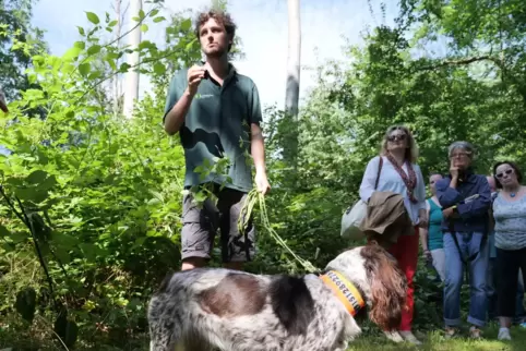  Revierförster Simon Henrich erklärt den Exkursionsteilnehmern sein Konzept für einen klimastabilen Wald.