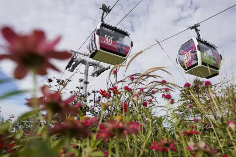 Erinnerung: Die Seilbahn zum Buga-Gelände. Anderes hat die Schau aber überdauert. 