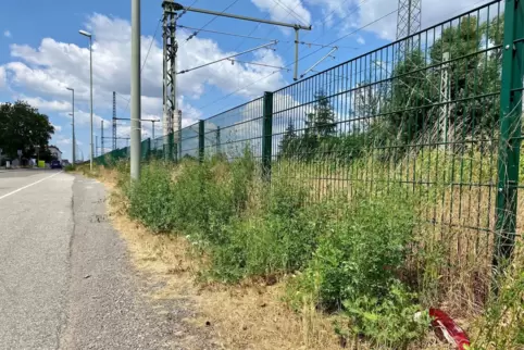 Während der Arbeiten gilt in der Bahnstraße in Landstuhl stellenweise Tempo 30. 