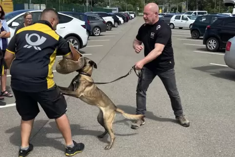 Übung: Ein Zusteller mit Hündin Navabi und Seminarleiter Erik Aubertin. Hunde reagieren besonders auf hektische Bewegungen. 