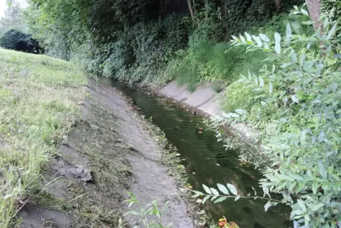 Der Bautzenbach in Ernstweiler verläuft am Rande des Prinzenparks, derzeit noch kanalisiert,