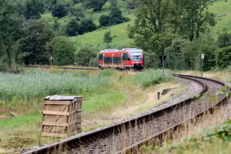 Von Montag bis 23. August wird kein Zug zwischen Landau und Pirmasens (wie hier bei Queichhambach) mehr fahren. 