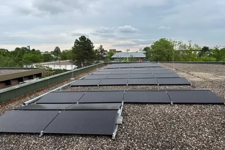 Die neue Photovoltaikanlage auf der Mosaikschule. Bis zu 30 Kilowatt werden in der Spitze produziert. 