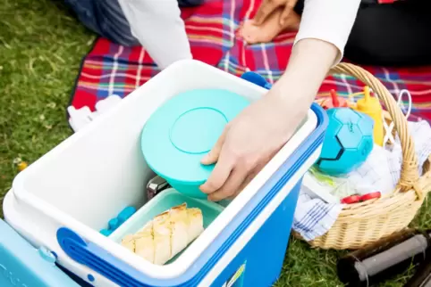 Ein gut gefüllter Picknickkorb sollte nicht fehlen. 