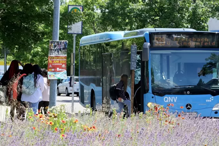 Bis zur zehnten Klasse übernehmen Land und Kreis die Kosten für den Schulbus. Danach nur noch in Ausnahmen. 