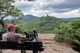 Wandern kann man im Pfälzerwald wirklich viel – und mit jeder Menge toller Aussichten. Aber manchmal wird es auch zu viel: Das k