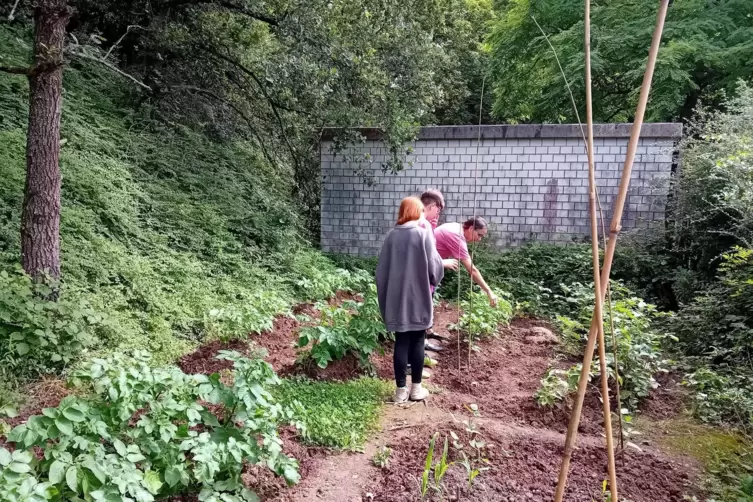  Projektleiterin Sabine Schielmann schaut sich mit zwei Schülern des den Schulgarten der Albert-Schweitzer-Realschule an.