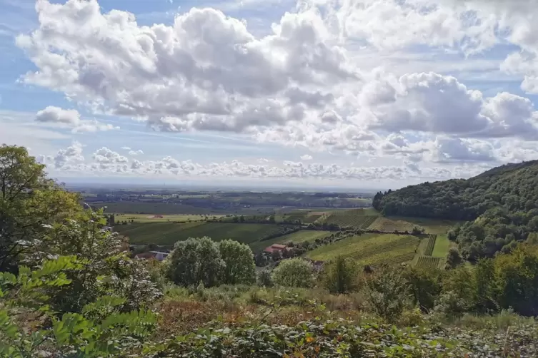 Blick auf den Rand des Pfälzerwalds bei Leinsweiler vom Slevogthof aus. 