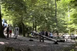 Ein Spielplatz und gemütliches Beisammensitzen im Wald bei einer Pfälzerwald-Hütte. Was will man mehr?