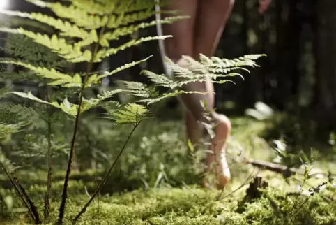 Neu im Programm der Volkshochschule: Waldbaden verspricht Erholung mitten in der Natur. 