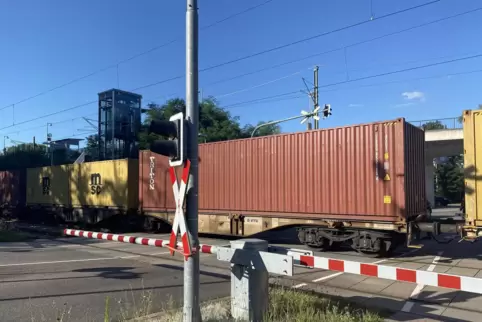 Regelmäßig wird der Bahnübergang Rhein/Mitte in Germersheim von Güterzügen blockiert, weil der Zug auf Streckenfreigabe wartet. 