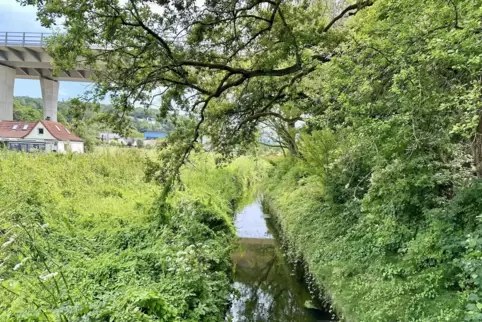 Nachdem die Lauter im Bereich des Engelshofes 2018 über die Ufer getreten war, soll dort ein Damm gebaut werden. 