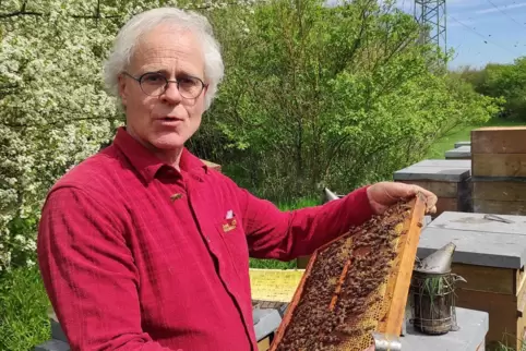 Bioland-Berufsimker Jan-Dirk Bunsen spricht von einer unterdurchschnittlichen Honigernte. 