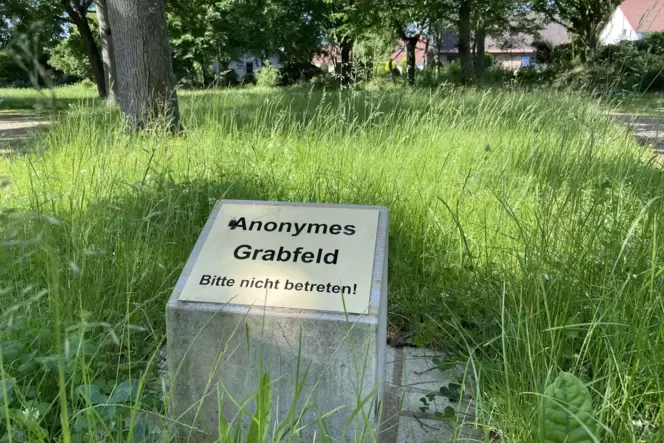 Anonymes Grabfeld auf dem Hauptfriedhof. Nach Beschwerden wurde das Hinweisschild erhöht angebracht. "Wir reagieren auf Hinweise