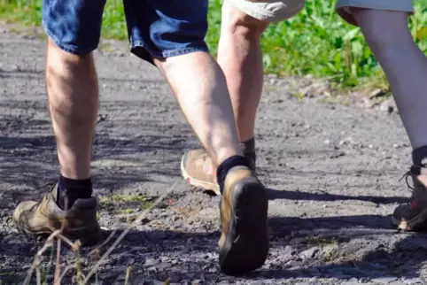 Alle Wege der Sternwanderung führen nach Rammelsbach. Die Wanderer können aus mehreren Strecken wählen. 