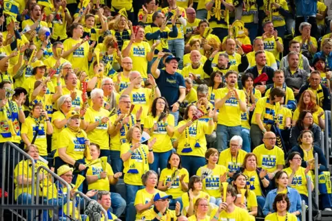 Fans der Rhein-Neckar Löwen