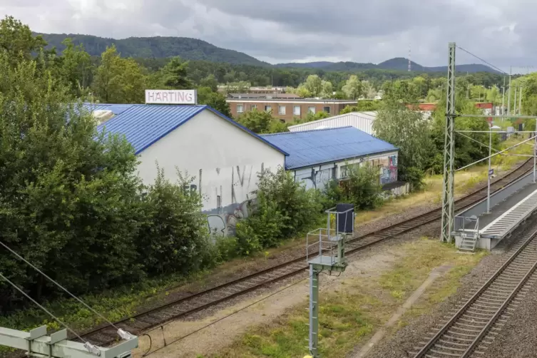 Mitarbeiter der Pferdemetzgerei Härting müssen in Haft.