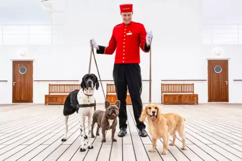 Hunde an Bord der Queen Mary 2 von Cunard