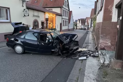 Der Fahrer wurde schwer verletzt.