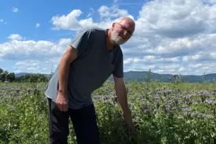 Klaus Fix an einem Acker, der sich ausruhen darf. Hier wachsen als Zwischenfrucht ganz verschiedenen Pflanzen. Von Kleearten übe