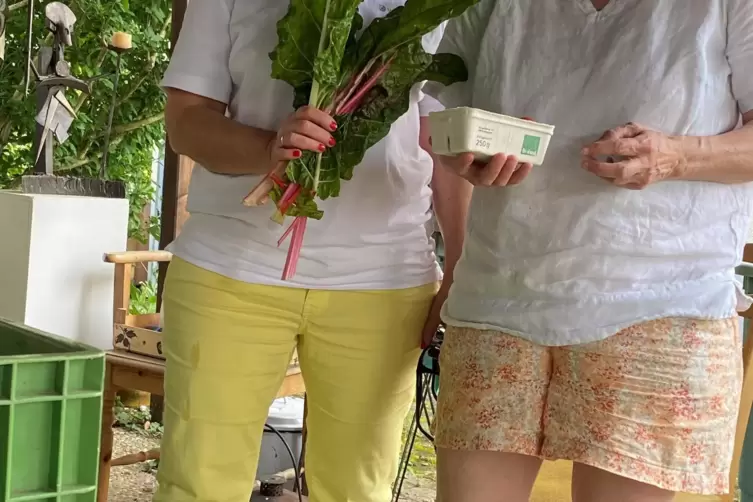 Solawi-Mitmacher Teresa Curcio (links) und Petra Riethmüller am Abholtag in Feudenheim. 