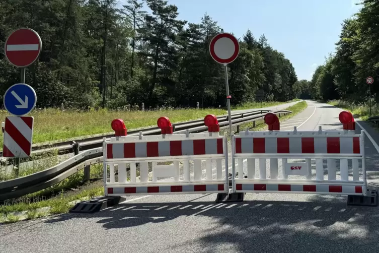 Die L108 – unser Foto zeigt die Straße aus Richtung St. Ingbert kommend – ist seit dem Pfingsthochwasser gesperrt. Das sorgt für