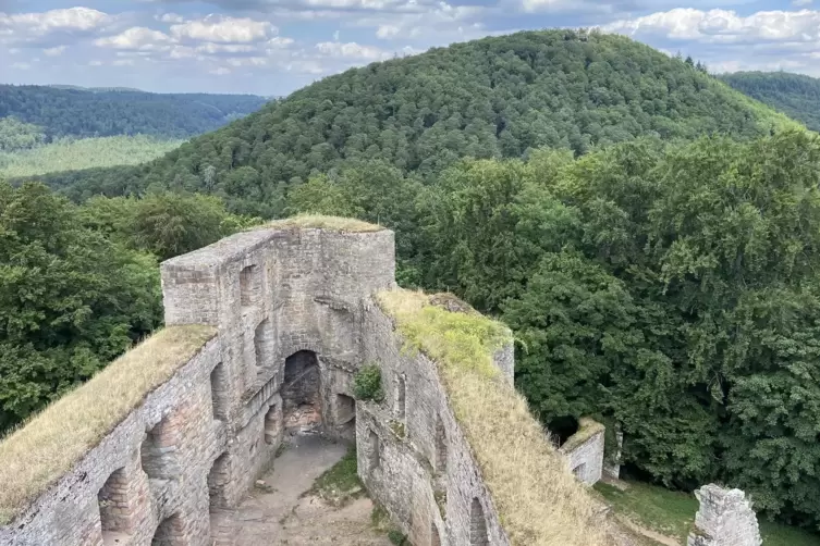 Ausblick vom Bergfried der Burg Gräfenstein über den Pfälzerwald.