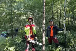 Marc Keller (links) und Andreas Wolff sorgen in einem Jungwald für Licht und Luft, damit die Zukunftsbäume, wie die Wildkirsche,