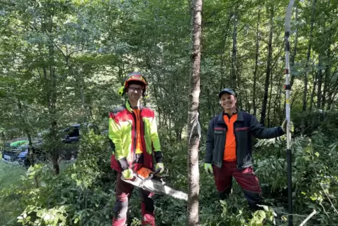 Marc Keller (links) und Andreas Wolff sorgen in einem Jungwald für Licht und Luft, damit die Zukunftsbäume, wie die Wildkirsche,