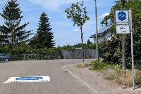 Wird gelobt: Die Fahrradstraße Im Zinkig macht Schülern den Weg sicherer. 