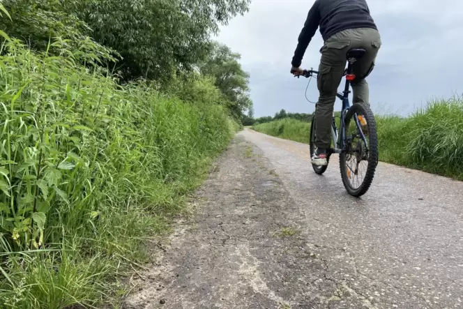 Der Radweg zwischen Stadt und Wollmesheim entlang des Birnbachs rutscht gen Bach ab.