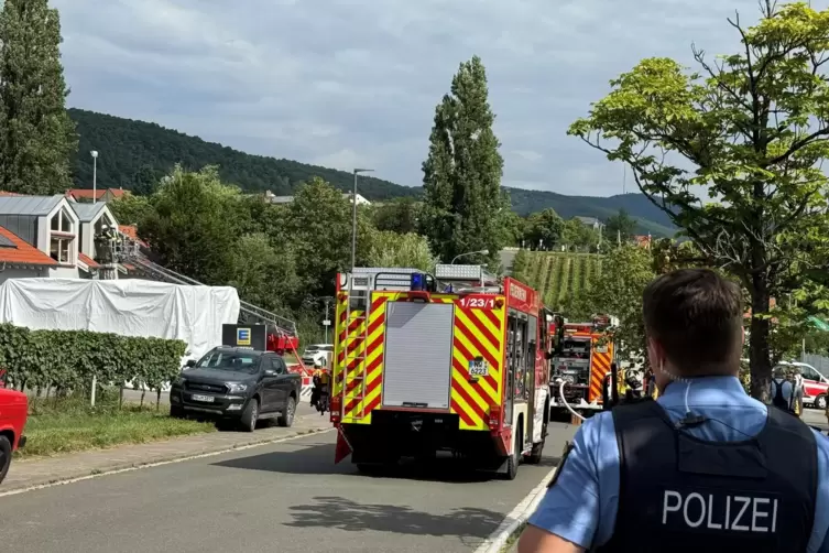 Viele Einsatzfahrzeuge auf dem Zufahrtsweg.