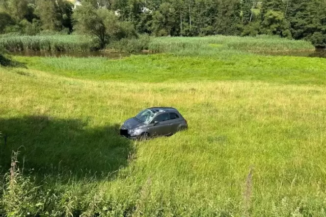 Der Besitzer fand seinen Wagen am nächsten Tag mit Totalschaden in einem Feld wieder.