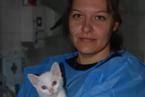 In diesem Jahr landen besonders viele Fundkatzen in Tierheimen. Rebecca Müller kann ein Lied vom Leid der Tiere singen. 