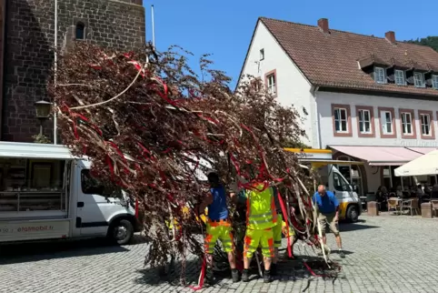 Am Freitag wurde der Freiheitsbaum in Annweiler abgebaut. Bürger konnten daran Karten mit Wünschen an die Stadt heften. 