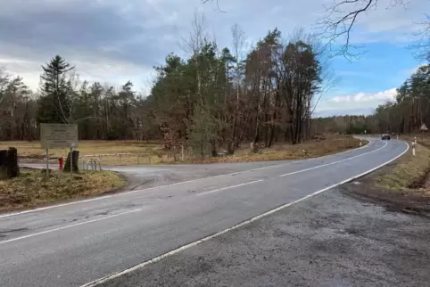 Die Landesstraße 470 – hier in Höhe Schießplatz Breitenwald – ist eine Holperpiste, die nun auf einer Länge von eineinhalb Kilom